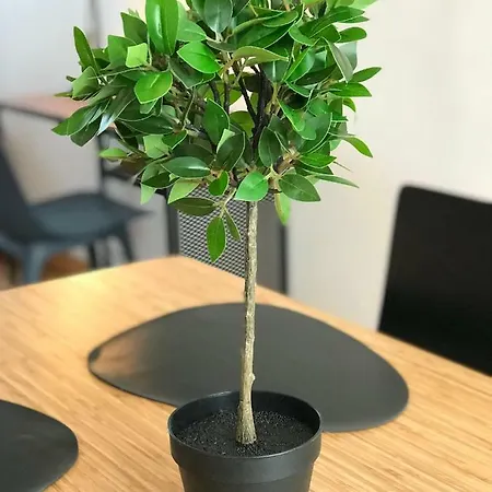 Appartement Henri Dunant